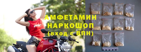 гашик Белокуриха