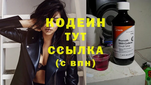 гашик Белокуриха