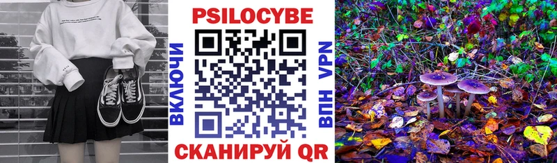 Галлюциногенные грибы Psilocybe  где купить наркоту  Тотьма 