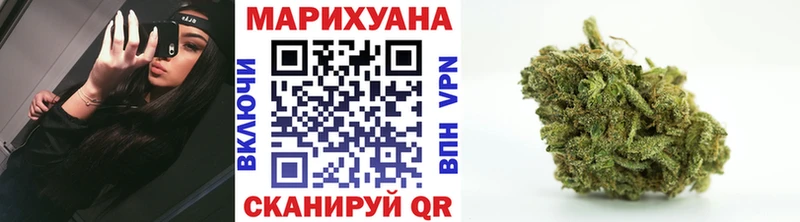 Бошки Шишки план  Тотьма 